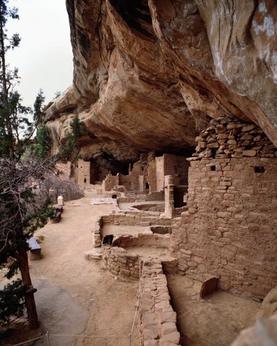Vista del sitio de la casa del abeto (1993, Fotografía) de School Anasazi