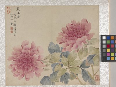 Álbum de flores de 8 hojas, mediados del siglo XVIII (tinta y color sobre papel) de School Chinese