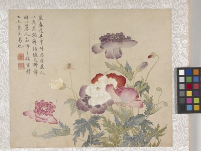 Álbum de flores de 8 hojas, mediados del siglo XVIII (tinta y color sobre papel) de School Chinese