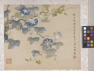 Álbum de flores de 8 hojas, mediados del siglo XVIII (tinta y color sobre papel) de School Chinese