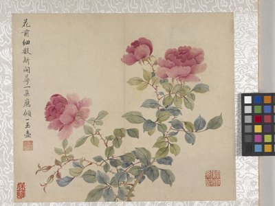 Álbum de flores de 8 hojas, mediados del siglo XVIII (tinta y color sobre papel) de School Chinese