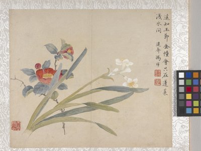 Álbum de flores de 8 hojas, mediados del siglo XVIII (tinta y color sobre papel) de School Chinese