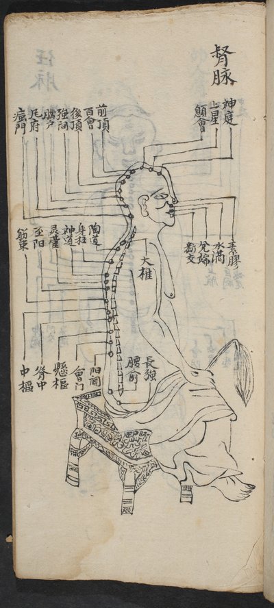 Puntos de acupuntura a lo largo de la columna vertebral y la cabeza, de Jing Guan Qi Zhi, 