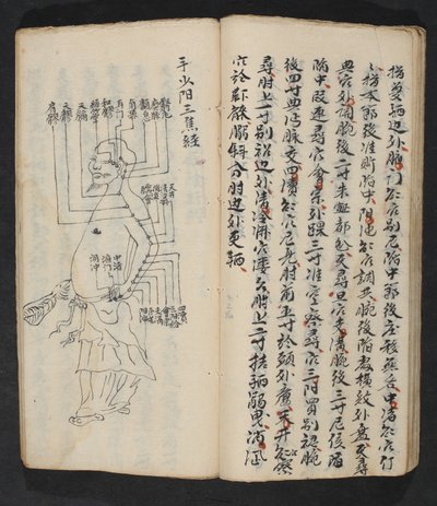 Puntos de acupuntura en el brazo, cuello y base de la cabeza, de Jing Guan Qi Zhi, 