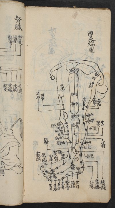 Puntos de acupuntura en la pierna, de Jing Guan Qi Zhi, 