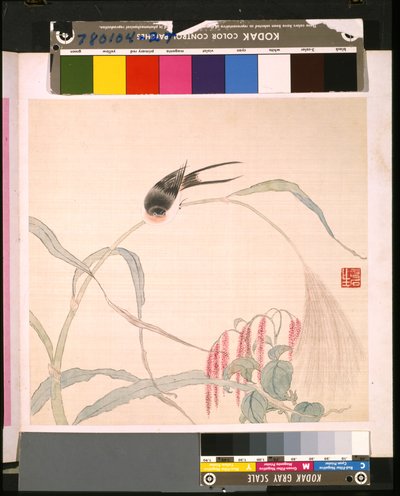 Álbum de flores y pájaros de School Chinese