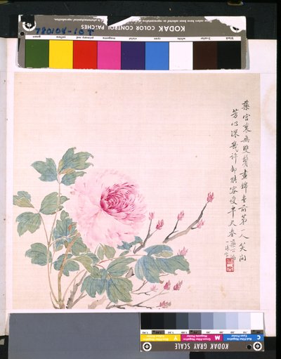 Álbum de flores y pájaros, fecha desconocida (tinta y color sobre seda) de School Chinese
