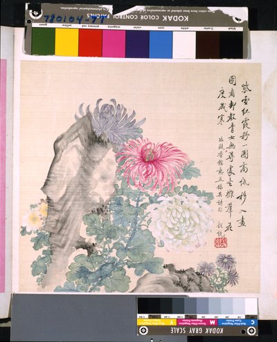 Álbum de flores y pájaros, fecha desconocida (tinta y color sobre seda) de School Chinese