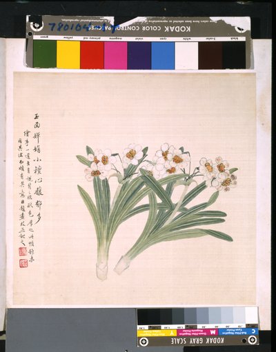 Álbum de flores y pájaros, fecha desconocida (tinta y color sobre seda) de School Chinese