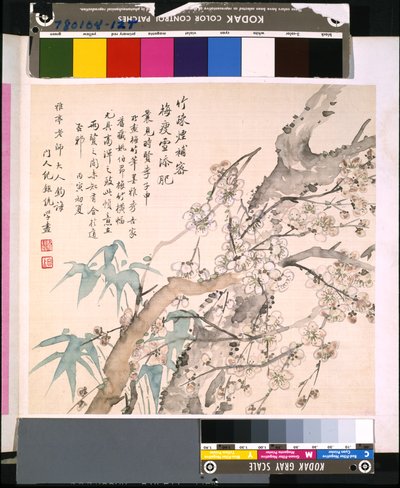Álbum de flores y pájaros, fecha desconocida (tinta y color sobre seda) de School Chinese