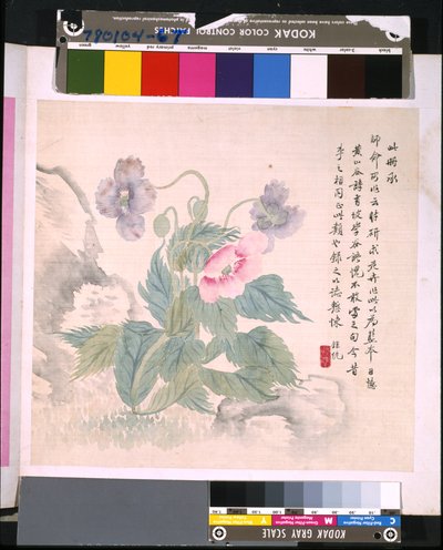 Álbum de flores y pájaros, fecha desconocida (tinta y color sobre seda) de School Chinese