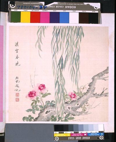 Álbum de flores y pájaros, fecha desconocida (tinta y color sobre seda) de School Chinese