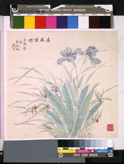 Álbum de flores y pájaros, fecha desconocida (tinta y color sobre seda) de School Chinese