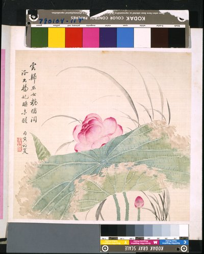 Álbum de flores y pájaros, fecha desconocida (tinta y color sobre seda) de School Chinese