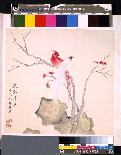 Álbum de flores y pájaros, fecha desconocida (tinta y color sobre seda) de School Chinese