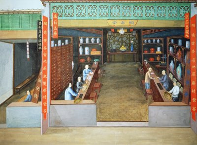 Medicina china, c.1830 (gouache sobre papel) de School Chinese