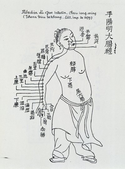 Acupuntura china: el intestino grueso de School Chinese