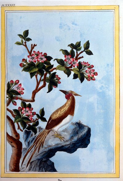 Arte chino: flores y pájaros de School Chinese
