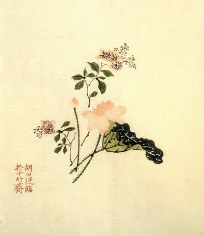 Flor de loto de School Chinese