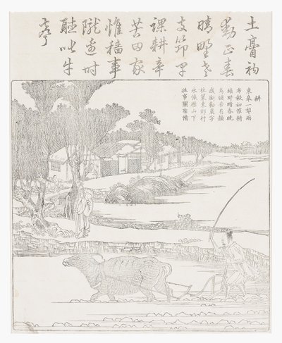 Arando con un búfalo de agua en un arrozal fangoso de School Chinese