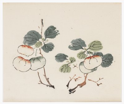 Serie de los Diez Bambúes de School Chinese