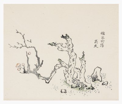 Serie de Diez Bambúes de School Chinese