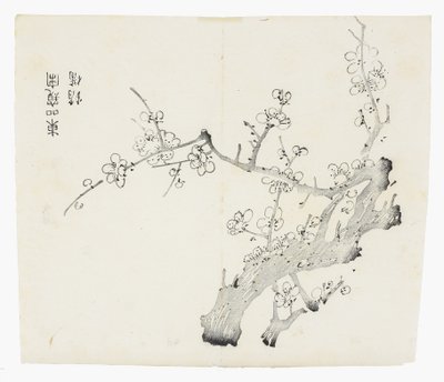 Serie de Diez Bambúes de School Chinese