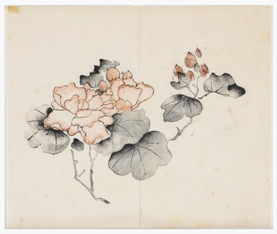 Serie de Diez Bambúes de School Chinese