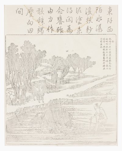 Labranza del arrozal en clima seco de School Chinese