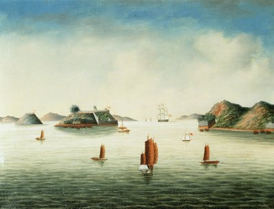 Vista de la zona de Cantón, c.1850 (óleo sobre lienzo) de School Chinese