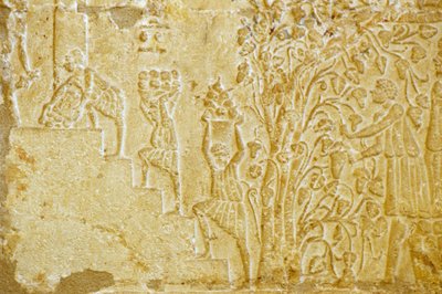 Antiguo Egipto, Escultura mural, Tumba de Petosiris, Tuna el Gebel, 300 a.C., Llevando uvas al lagar (foto) de School Egyptian
