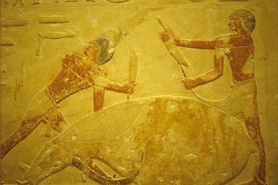 Antiguo Egipto, Tallado/pintura mural, Mastaba/Tumba de Idout, Saqqara, 2323-2150 a.C., Toro sacrificado como sacrificio (foto) de School Egyptian