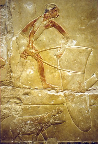 Antiguo Egipto, Pintura mural, Mastaba/Tumba de Idout, Saqqara, Dinastía VI, Pesca con red trampa, Hipopótamo (foto) de School Egyptian