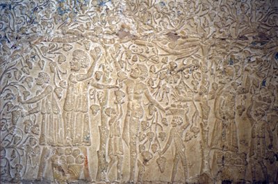 Antiguo Egipto, Pintura mural, , Tumba de Petosiris, Tuna el Gebel, 300 a.C., Recogida de uvas para la elaboración de vino (foto) de School Egyptian