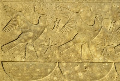 Antiguo Egipto, Pintura mural/talla, Avefrías, representando las diversas tribus de Egipto, Templo de Karnak, Luxor (foto) de School Egyptian