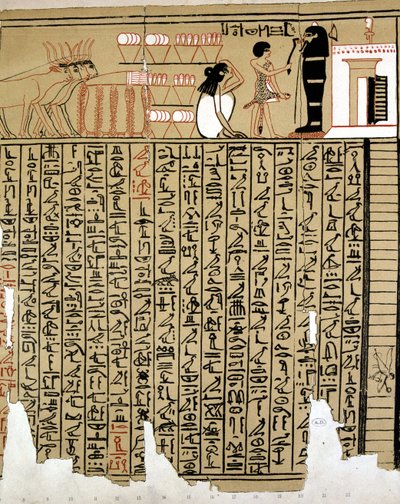 Jeroglíficos egipcios de School Egyptian