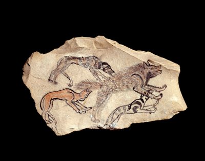 Antigüedad egipcia: ostrakon (o ostracon) (plural: ostraca o ostraka) (cerámica) en piedra caliza que representa tres perros cazando una hiena. 1300-1070 a.C. Dim. 0,15x0,08 m. Deir el Medineh. París, Museo del Louvre de School Egyptian
