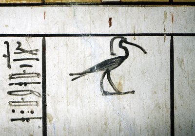 Luxor, Tebas: Valle de los Reyes, Tumba de Amenofis III, faraón egipcio de la XVIII dinastía (-1410 - -1370). de School Egyptian