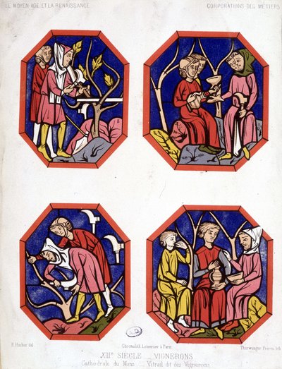 Corporación de los viticultores - vidriera de los vinateros de la Catedral de Le Mans de School French
