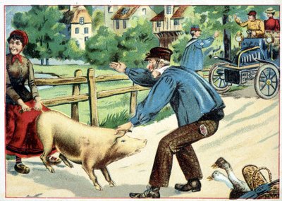 Cerdo que se niega a avanzar y que bloquea el camino a un automóvil - dibujo de School French