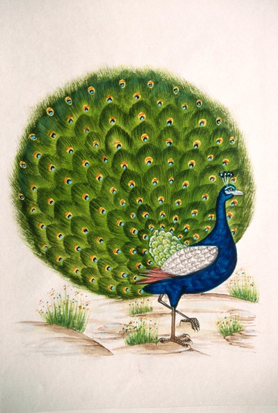 Pintura en miniatura sobre seda Pavo real de School Indian