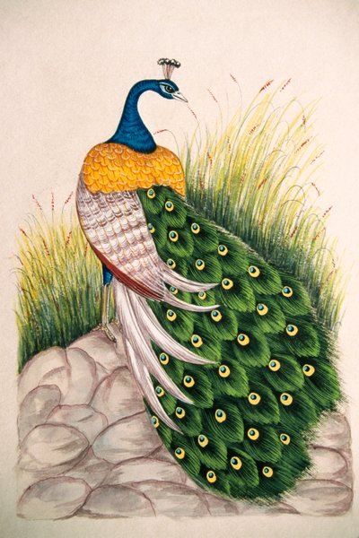 Pintura en miniatura sobre seda Pavo real de School Indian