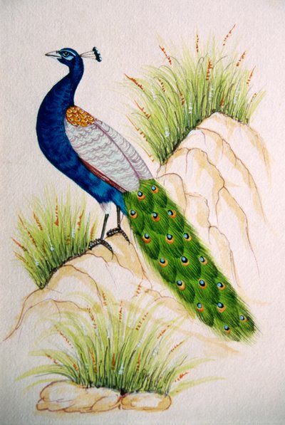 Pintura en miniatura sobre seda Pavo real de School Indian