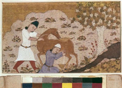 Ordeño de onagro, finales del siglo XV (acuarela, gouache, color blanco, tinta sobre papel) de School Iranian