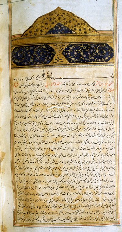 Página de El canon de la medicina (al-Qānūn fī aṭ-Ṭibb) de Avicena. de School Iranian