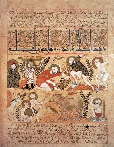 Ilustración del "Kitab al-Diryaq" Libro de los antídotos, de Pseudo-Gallen (vitela) de School Iraqi