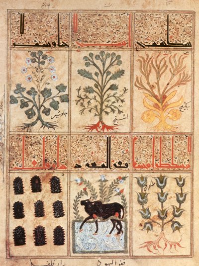 Ilustración del "Kitab al-Diryaq" Libro de los antídotos, de Pseudo-Gallen (vitela) de School Iraqi