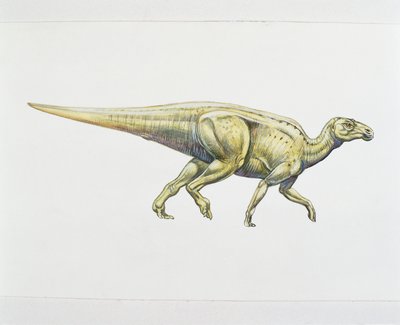 Hadrosáurido o dinosaurio de pico de pato de School Italian