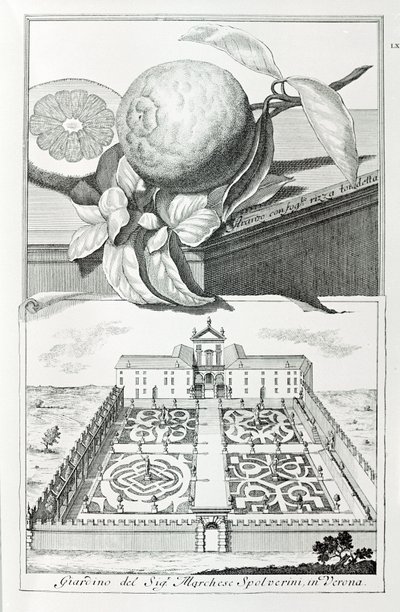 Villa del Marqués Spolverini de Verona, de "Villas, Jardines y Paisajes en Venecia" por A. Volkamer (grabado) de School Italian
