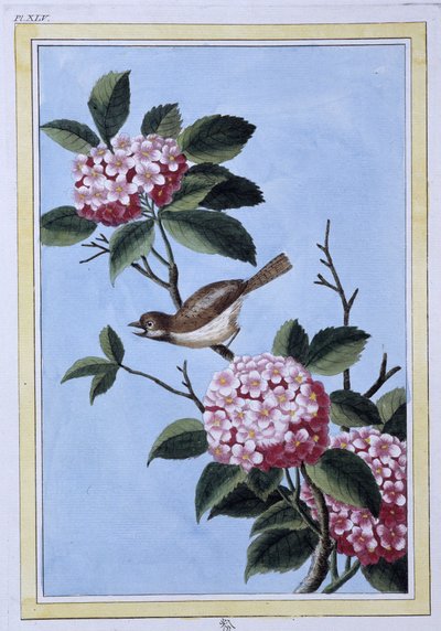 Pájaro - impresión japonesa de Japanese School